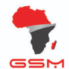 GSM Group of Companies logo outlined with the map of Africa in a white background